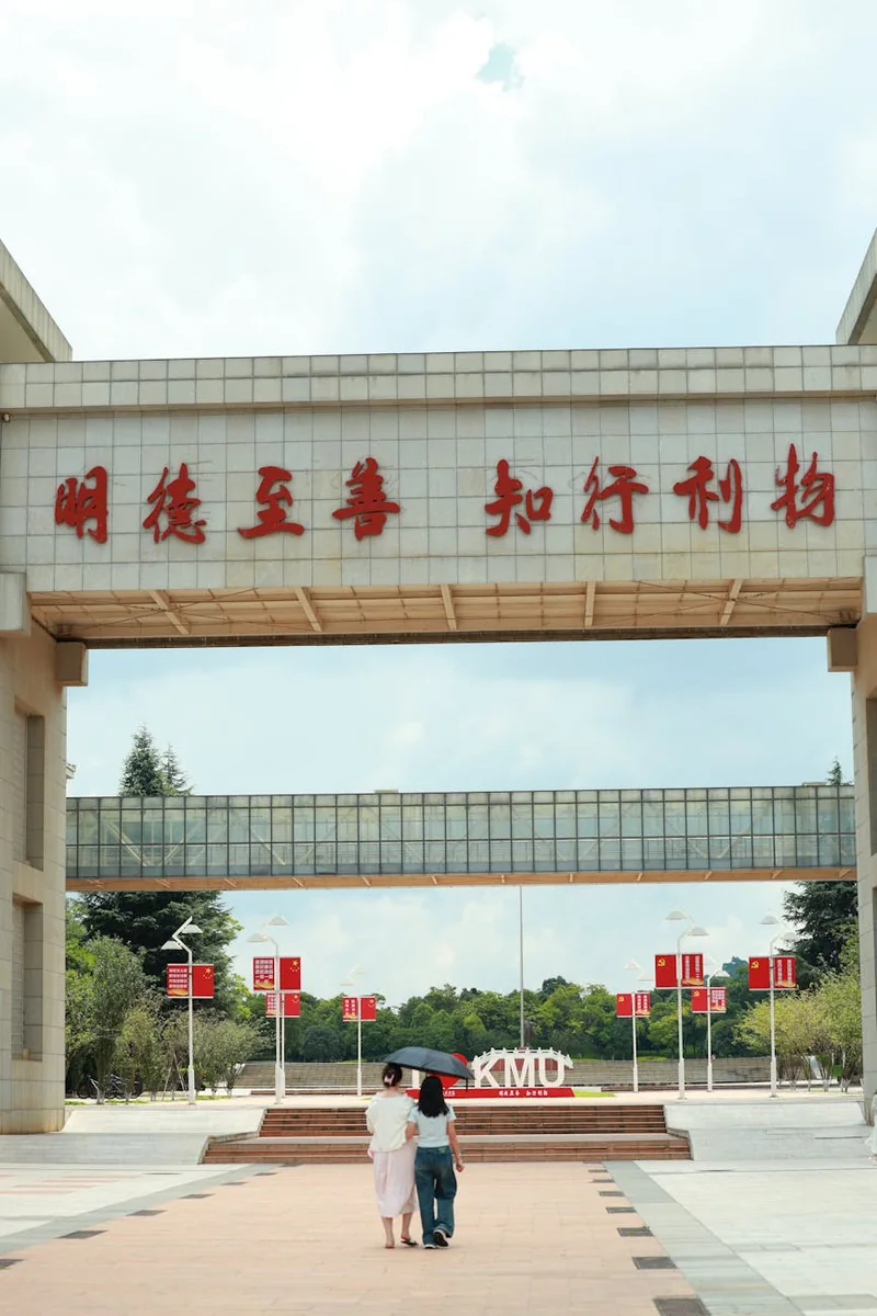 公开信息研判流程示意，从收集、筛选到验证与结论组织